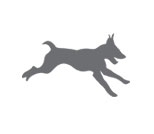WILD DOGS