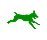 WILD DOGS