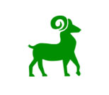 FERAL GOATS